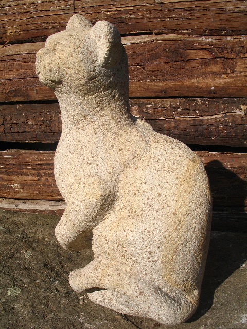 Katze,Humpel (1).JPG